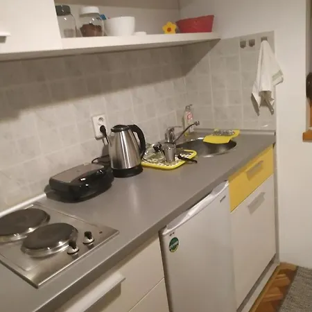 Apartment Apartman Zubac, Vrnjacka Banja Vrnjci